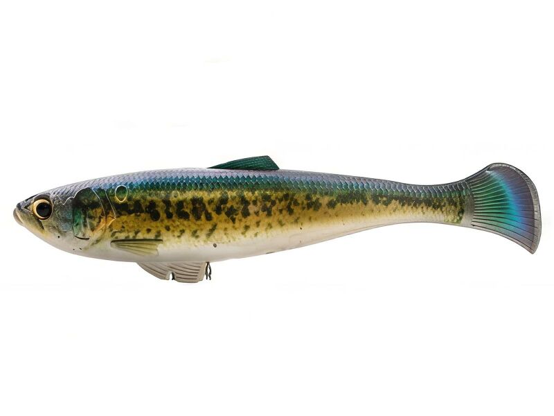 Z-Man Swag LT 6"