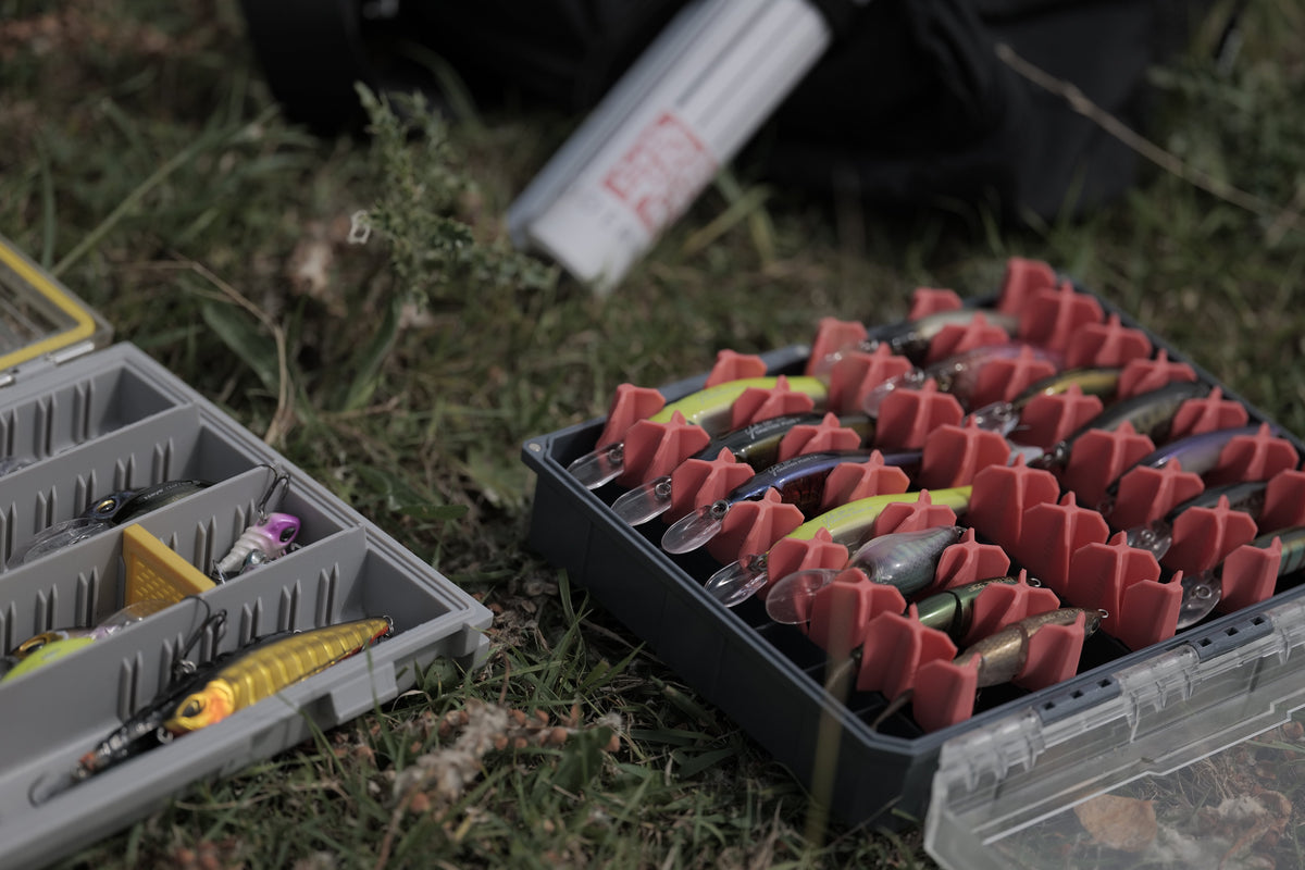 Eine Auswahl an Camo Lures Gummifischen und Terminal Tackle, präsentiert im Köderkult JDM Tackle Store Oldenburg