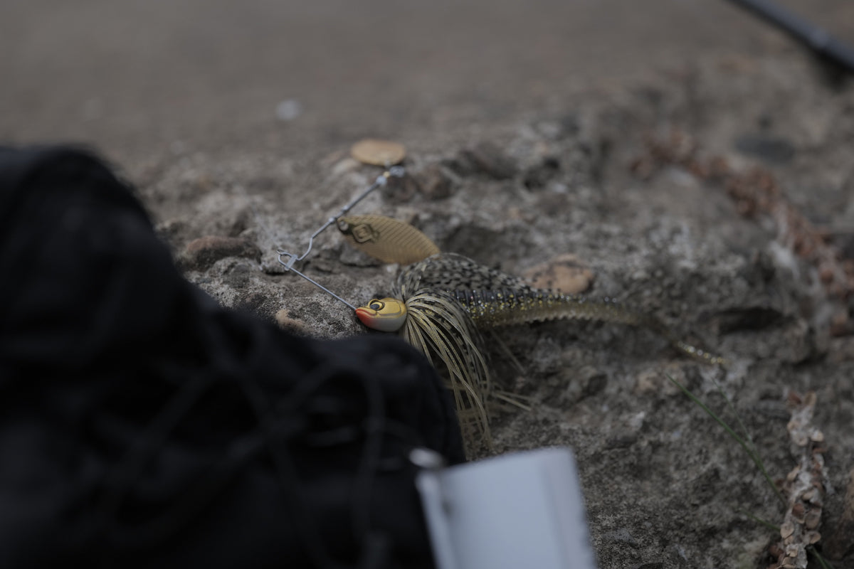 Spinnerbaits