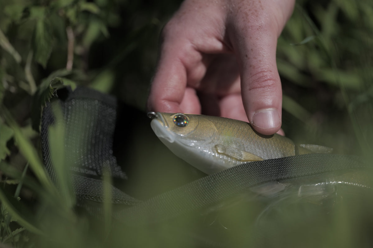 Innovative Molix Köder und Glide Baits für Raubfischangler, präsentiert im Köderkult JDM Tackle Store Oldenburg.