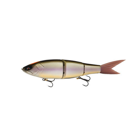 Galapagos Grace 280F