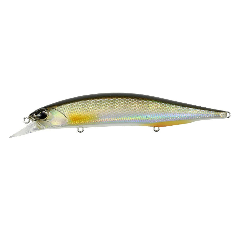 Duo Realis Jerkbait 120 SP Pike Limited Farbe Silver Roach