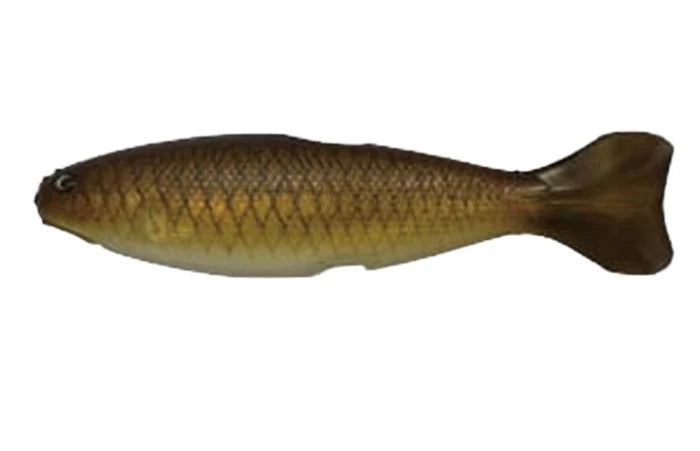 YG.Labo Dorvus 180