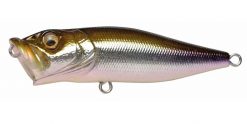 Megabass Pop X M WAKASAGI