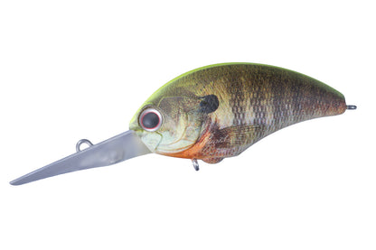 O.S.P TINY BLITZ DR RP07 MAT CHART BACK REAL GILL