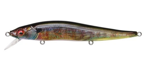Megabass Vision Oneten